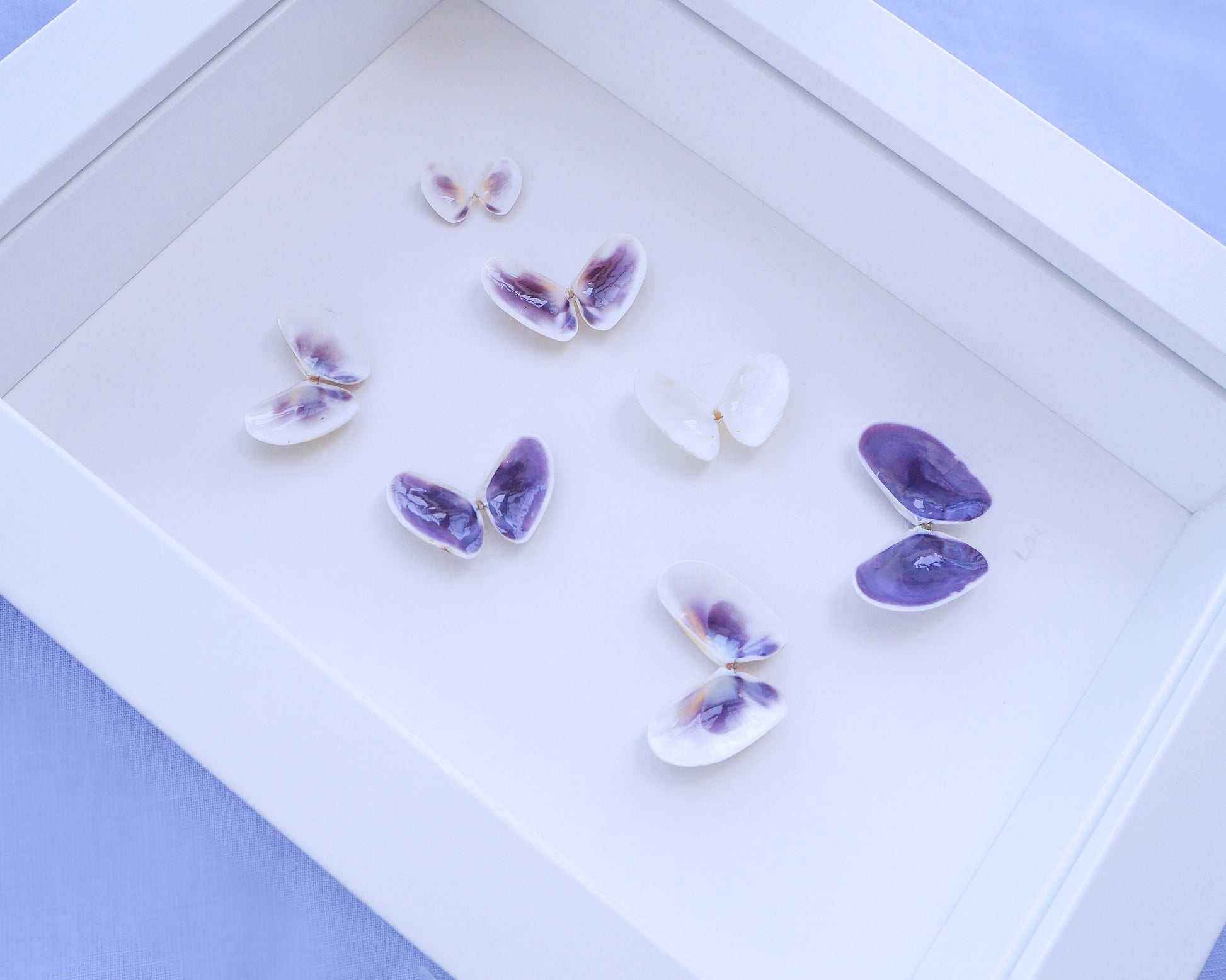 Purple Butterfly Shells Art side view, Nursery room coastal wall art, Seashell Butterfly, Coquina shells