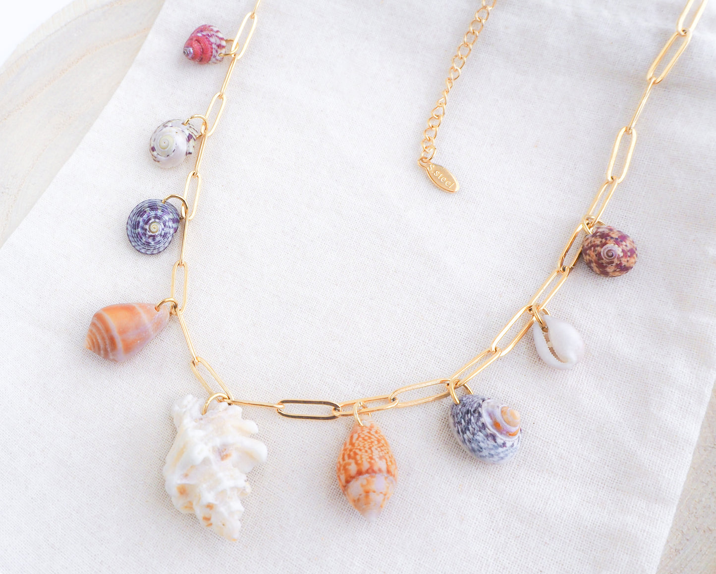 Seashell Charm Gold Necklace with 9 Shells from Portugal. Cone Shells, Cowrie Shell, Top Shell