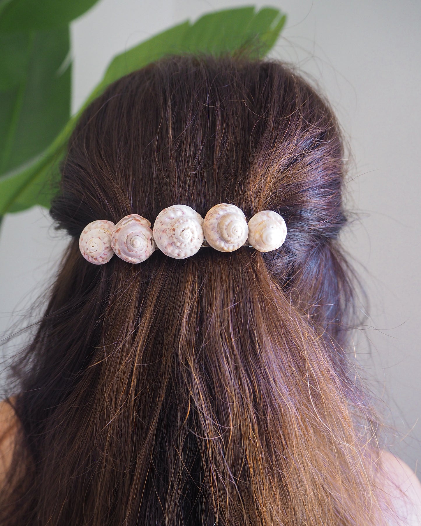 Magus Top Shells Hair Clip Barrette in hair model with green plant background, Seashell Beach Clip from Portugal, Handpicked Real Shells, Seashell Hair Decoration, Mermaid Wedding Hair Assocciares, Coastal Christmas gift, Beach Wedding Hair