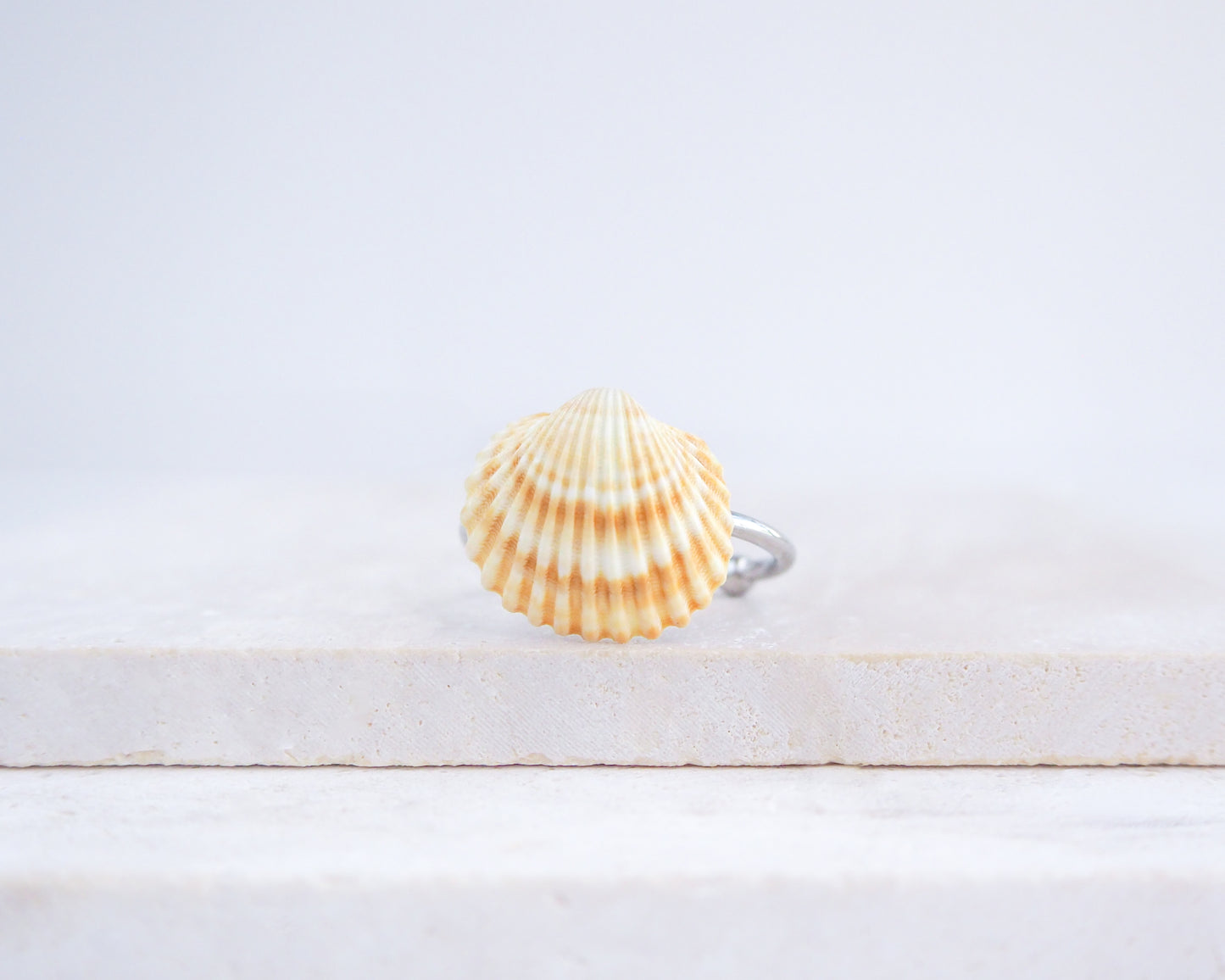 Handcrafted Silver Mediterranean cockle shell ring from Portugal on stone displayed, beach surf girl jewelry, silver adjustable ring with Portuguese cockle shell, ocean inspired beach jewelry