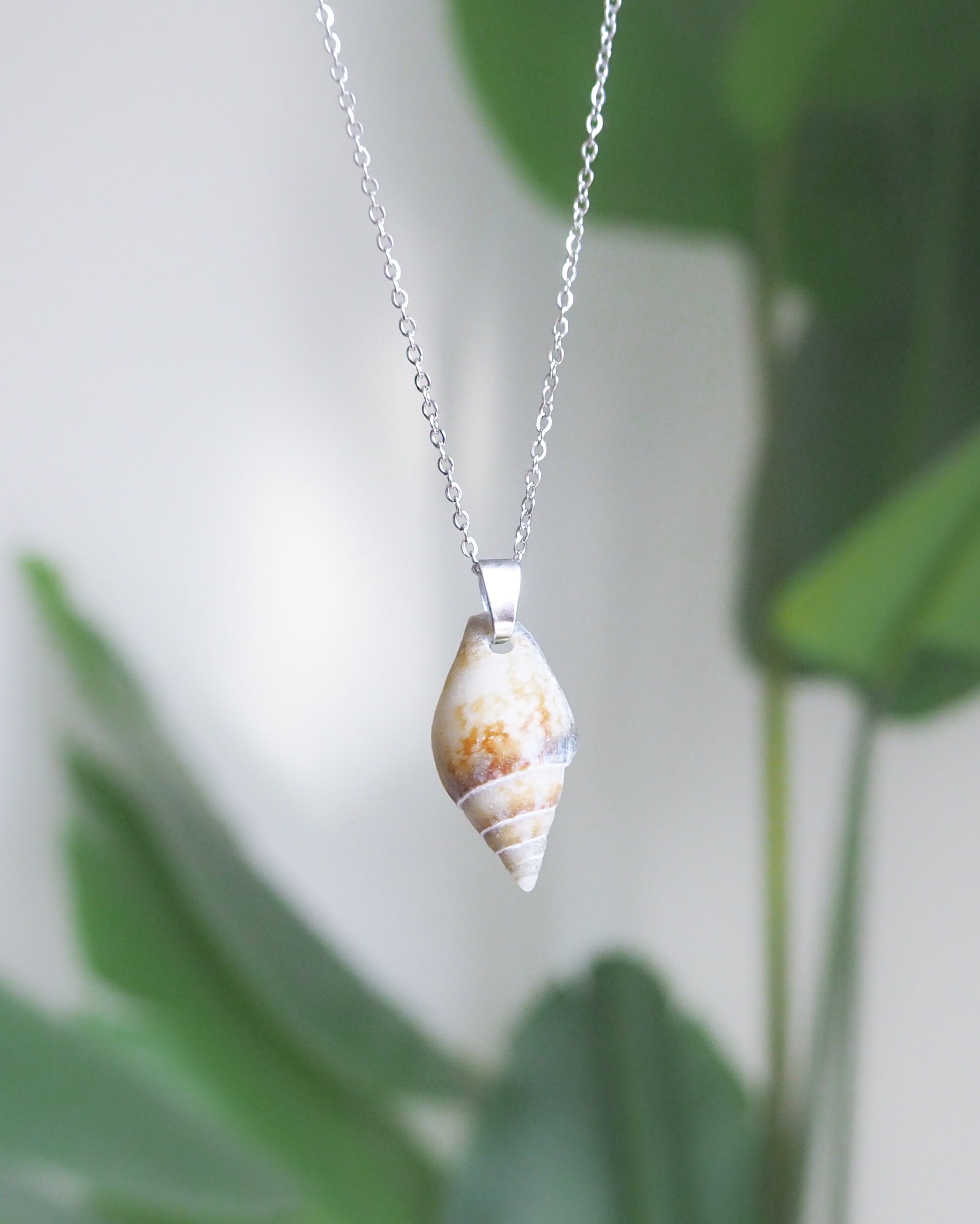 Front view of Silver Rustic Dove Shell Gold Necklace, Tiny shell from Portugal