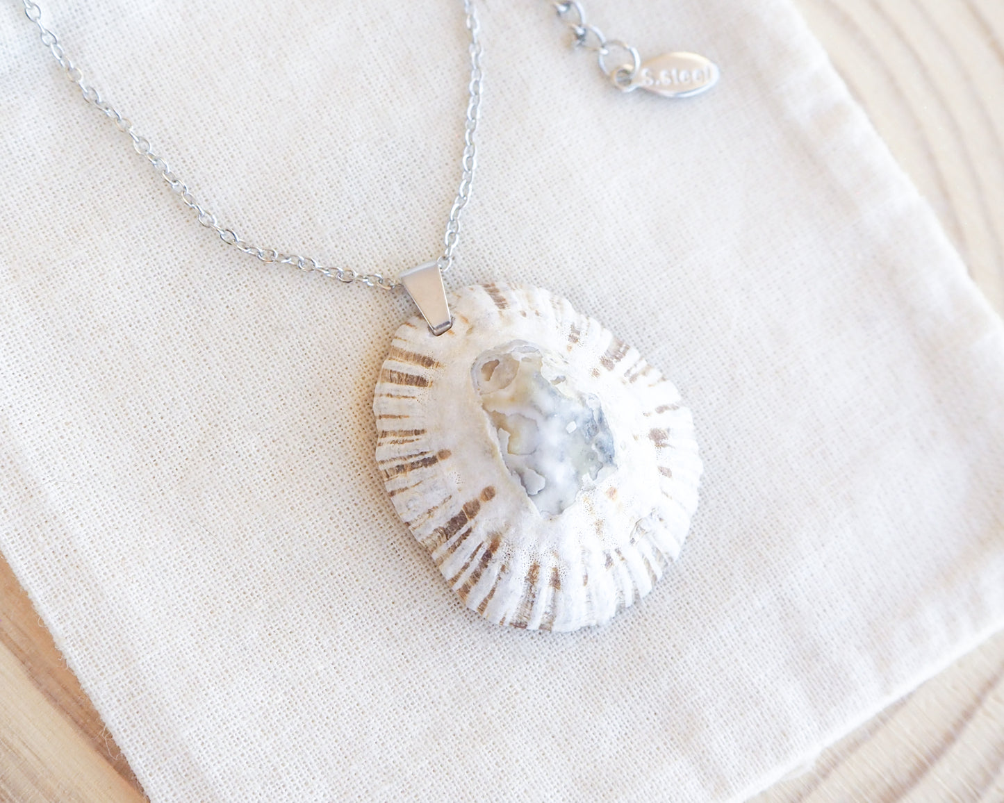 White Grey Limpet Shell Silver Necklace on display