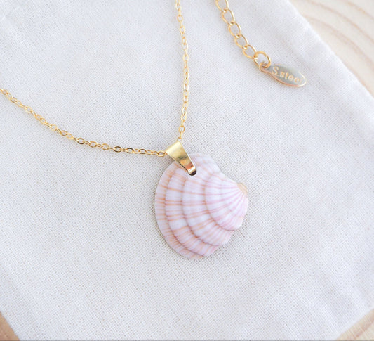 Strawberry Pink Venus Shell Necklace on display