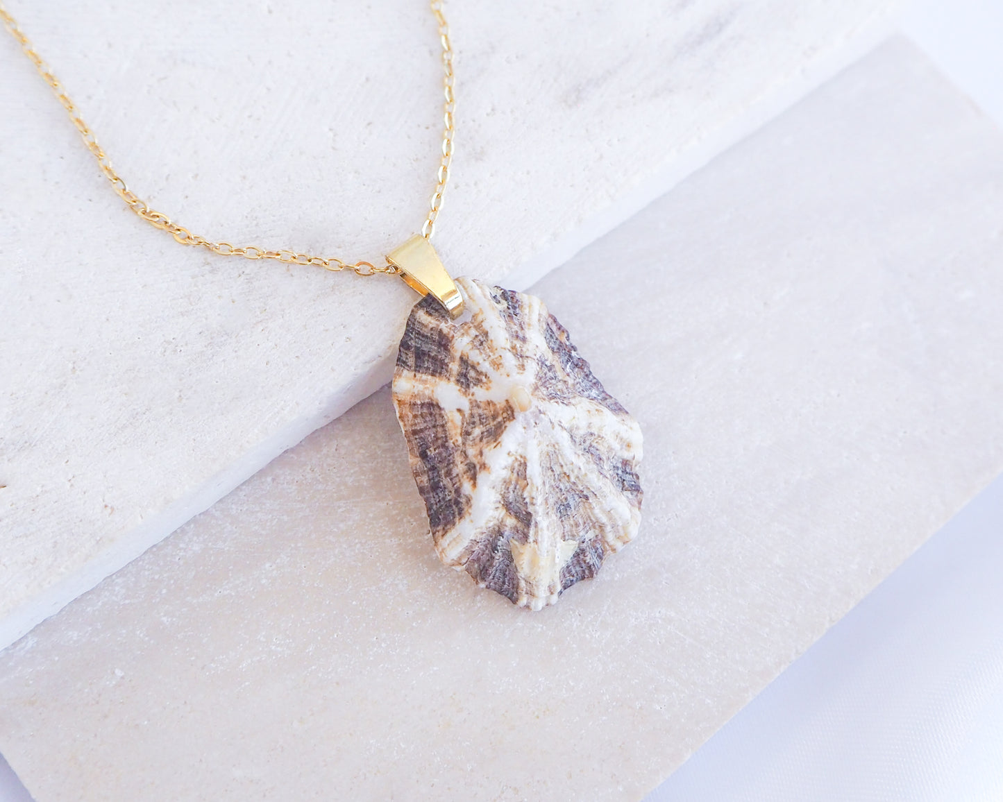 Striped Brown Mediterranean Limpet Shell Gold Necklace displayed on stone close up, Limpet Shell from Portugal