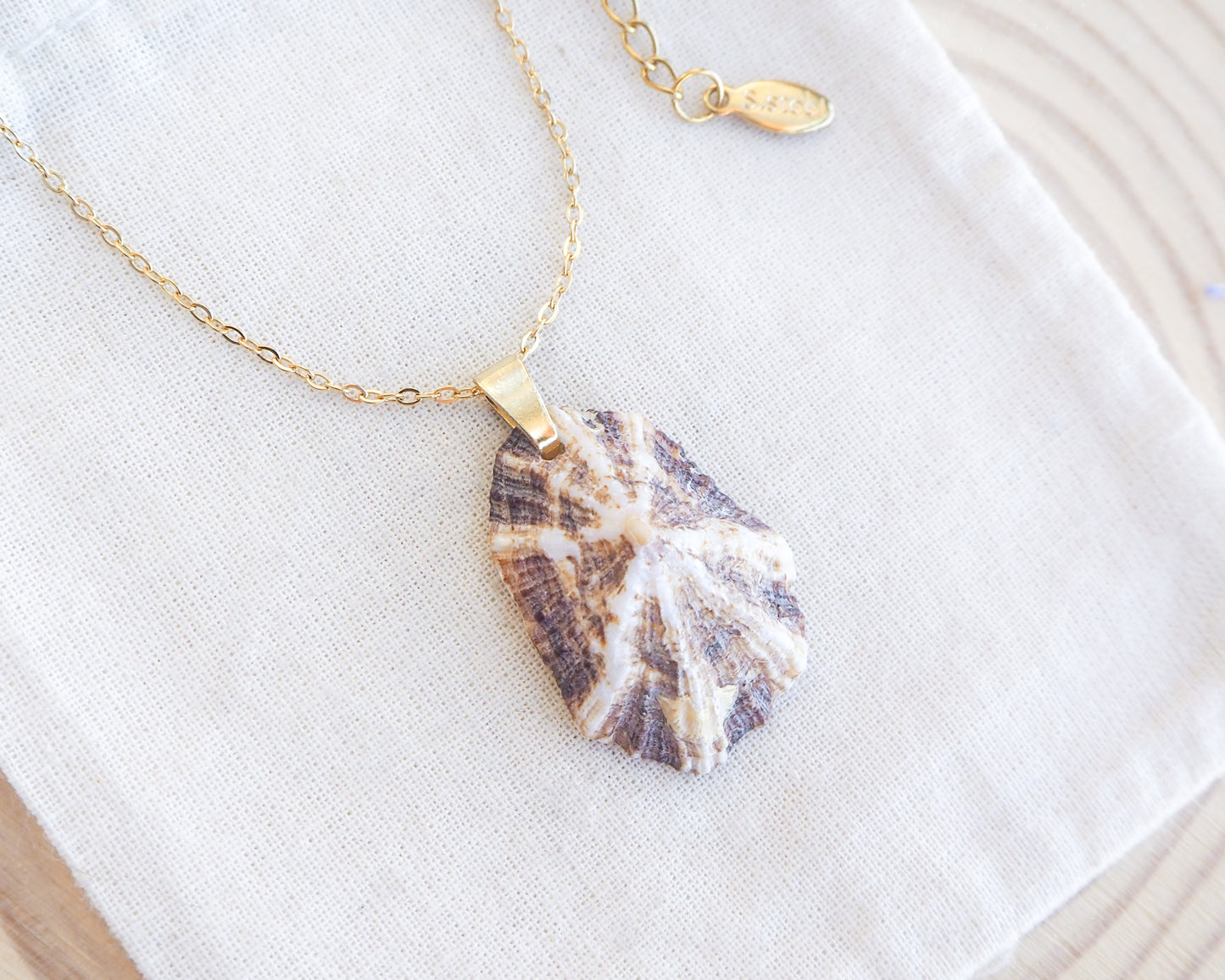 Striped Brown Mediterranean Limpet Shell Gold Necklace close up, Limpet Shell from Portugal