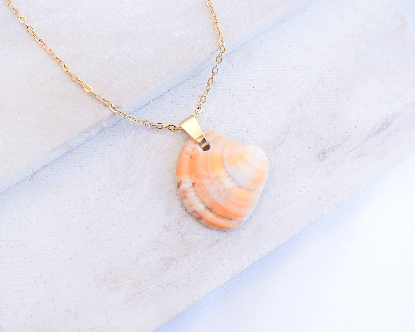 Sunshine Venus Shell Gold Necklace with shell from Portugal displayed on stone