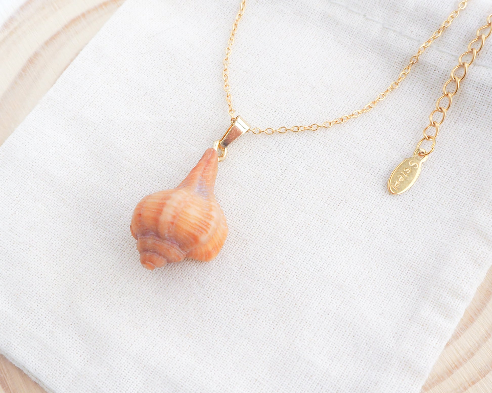 Gold Tiny Brown Murex Shell Necklace on display
