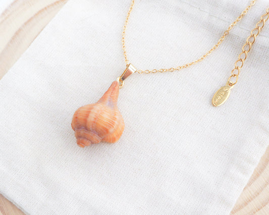 Gold Tiny Brown Murex Shell Necklace on display