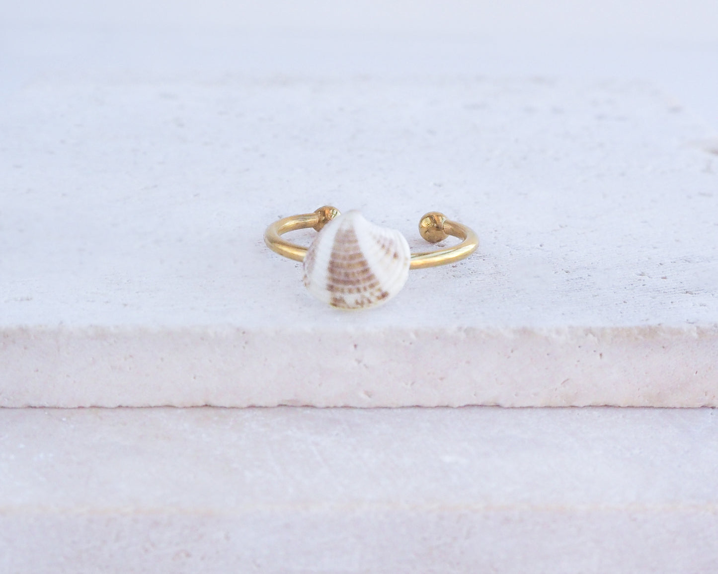 Tiny Brown White Venus Shell Ring on display, Gold Stainless Steel Shell Ring, Beach Summer Jewelry, Sea by Lou