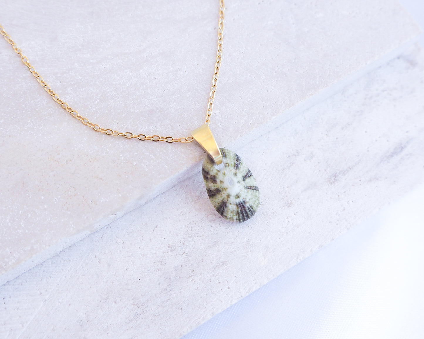 Close up of Tiny Green Common Keyhole Limpet Shell Gold Necklace displayed on stone