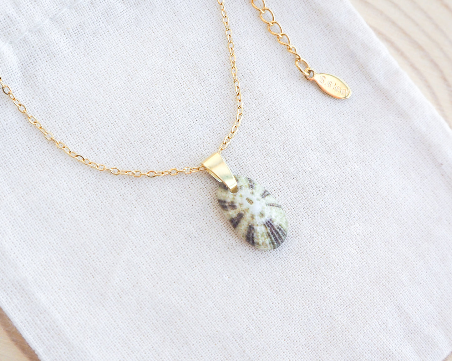 Tiny Green Common Keyhole Limpet Shell Gold Necklace on display, Green Limpet Shell from Portugal