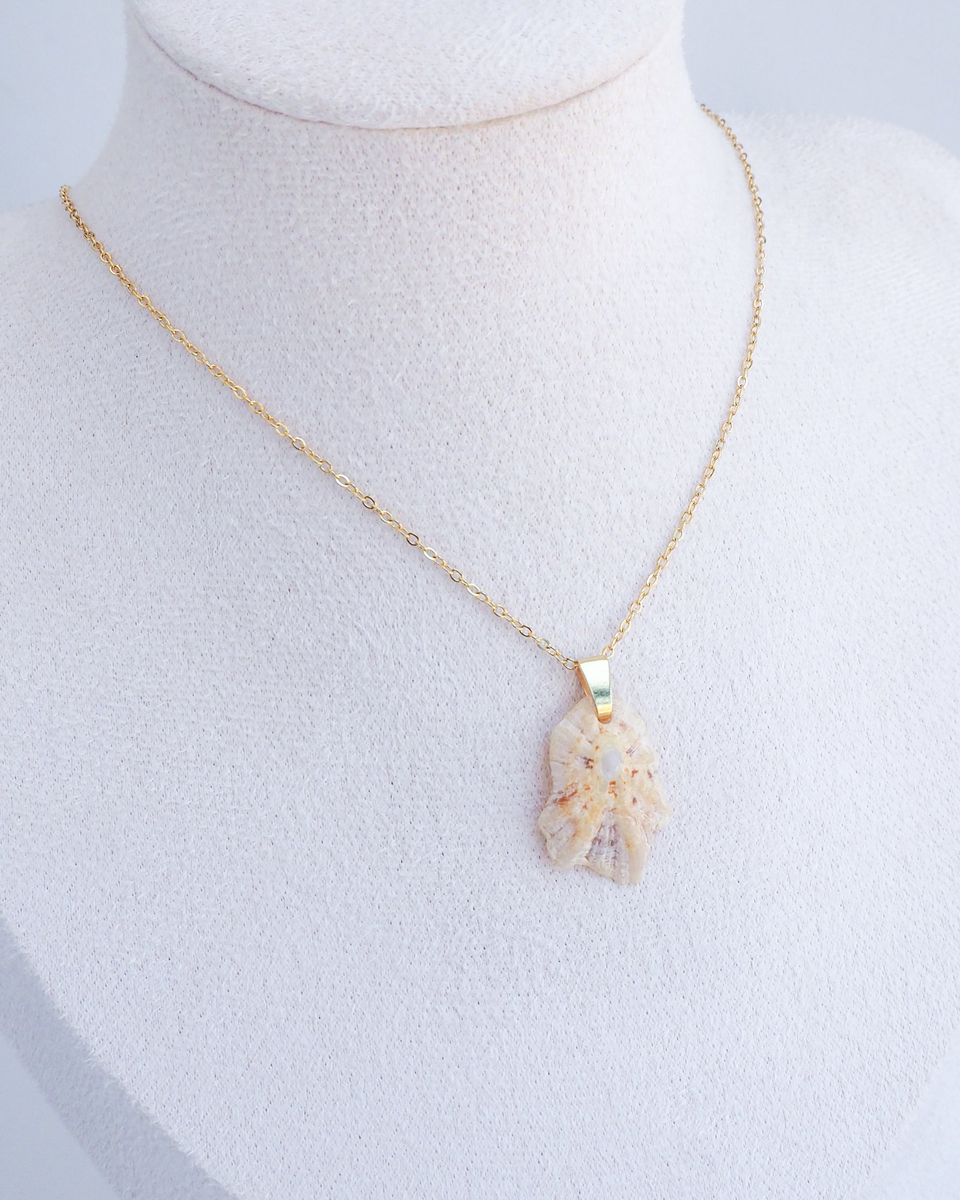 Gold Tiny Light Limpet Shell Gold Necklace on neck display