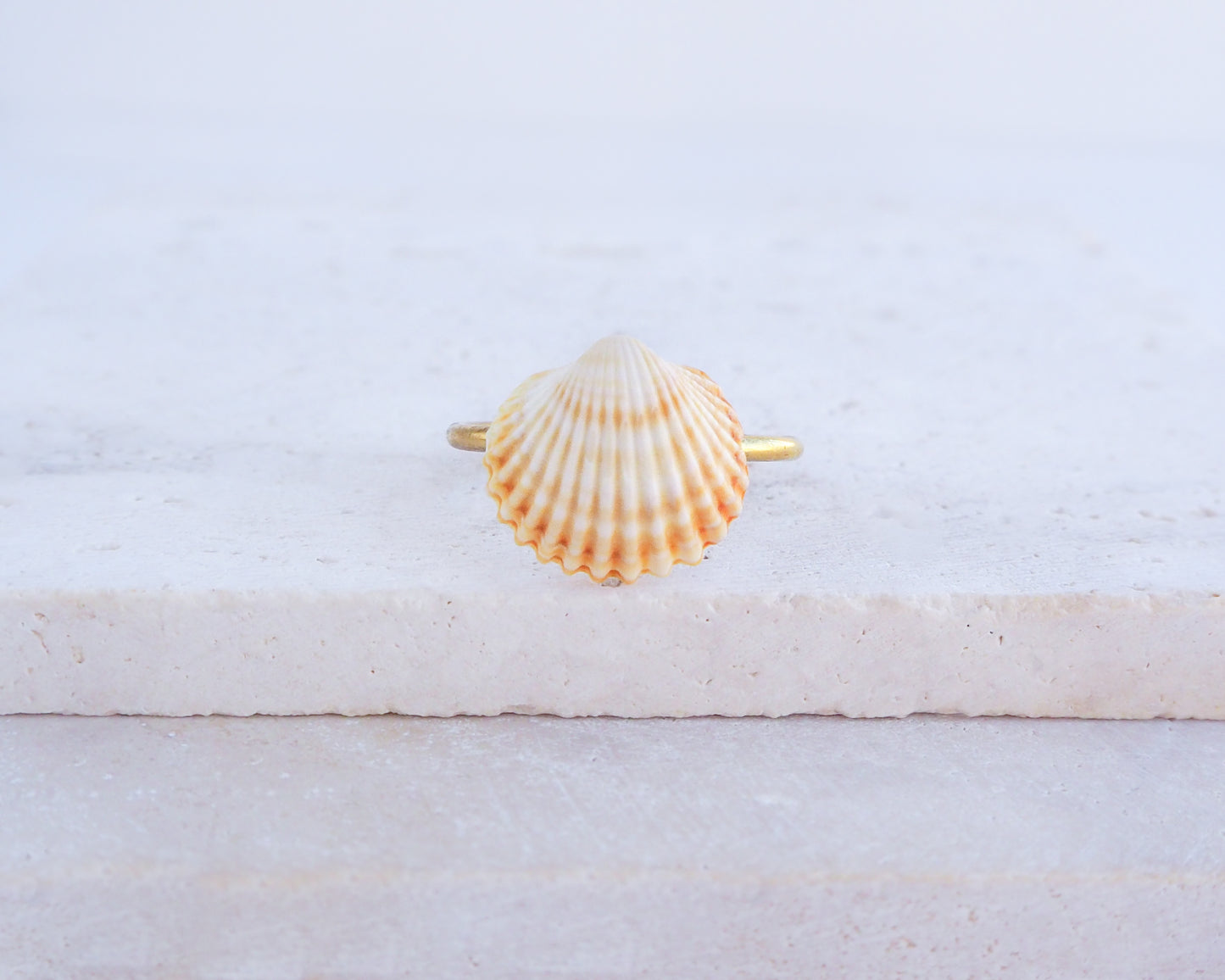 Tiny Mediterranean Cockle Shell Ring on display, Sunny Shell from Portugal, Summer Jewelry, Sea by Lou