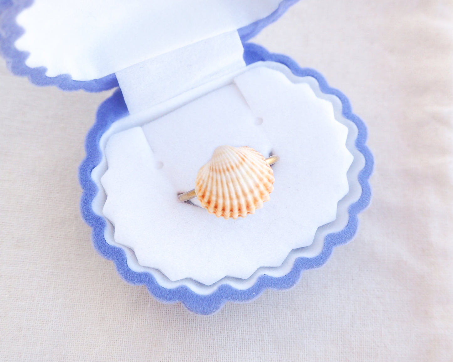 Tiny Mediterranean Cockle Shell Ring in seashell box, Sunny Shell from Portugal, Summer Jewelry, Sea by Lou