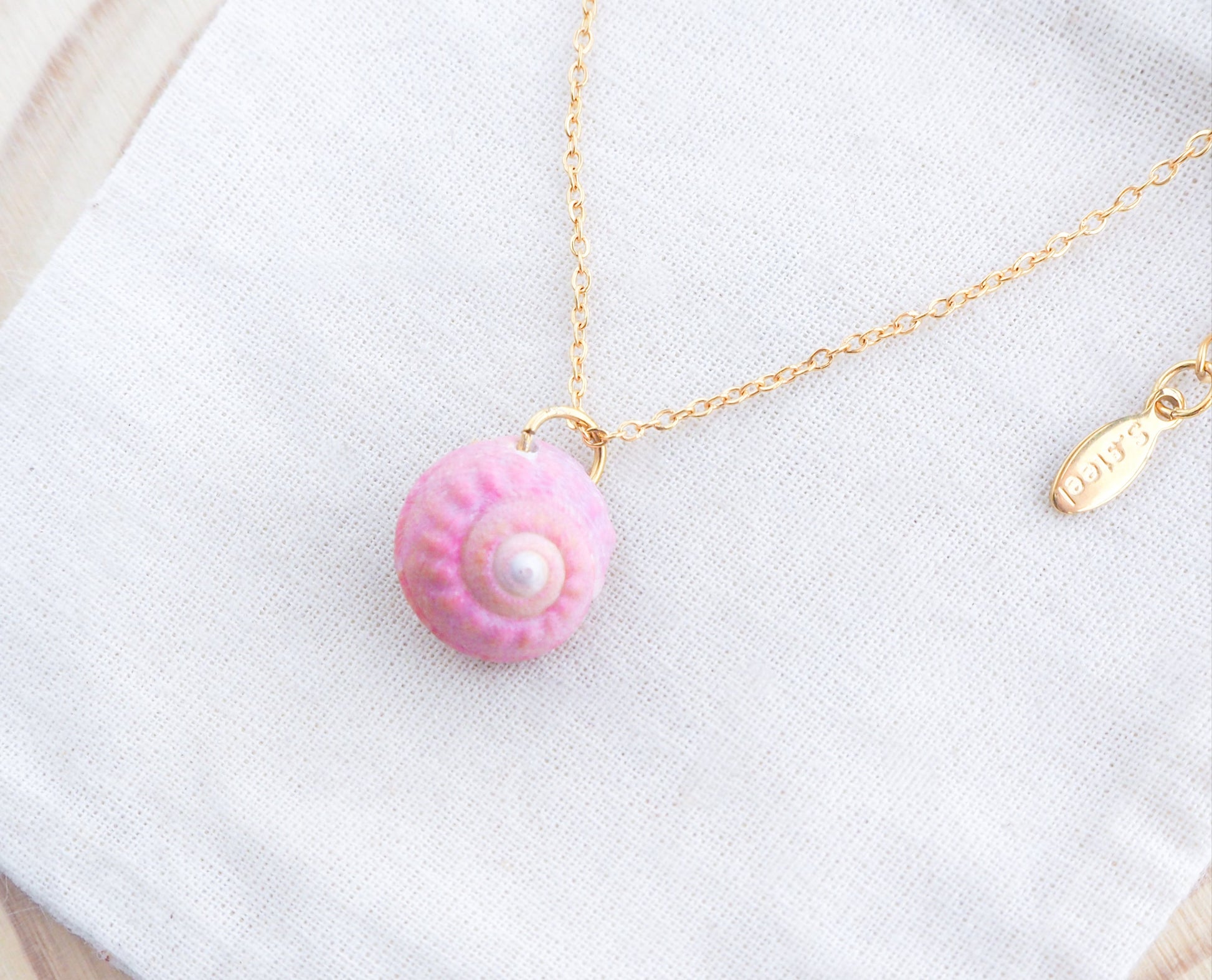 Tiny Pink Shell Gold Necklace, Pink Magus Top Shell from Portugal on display