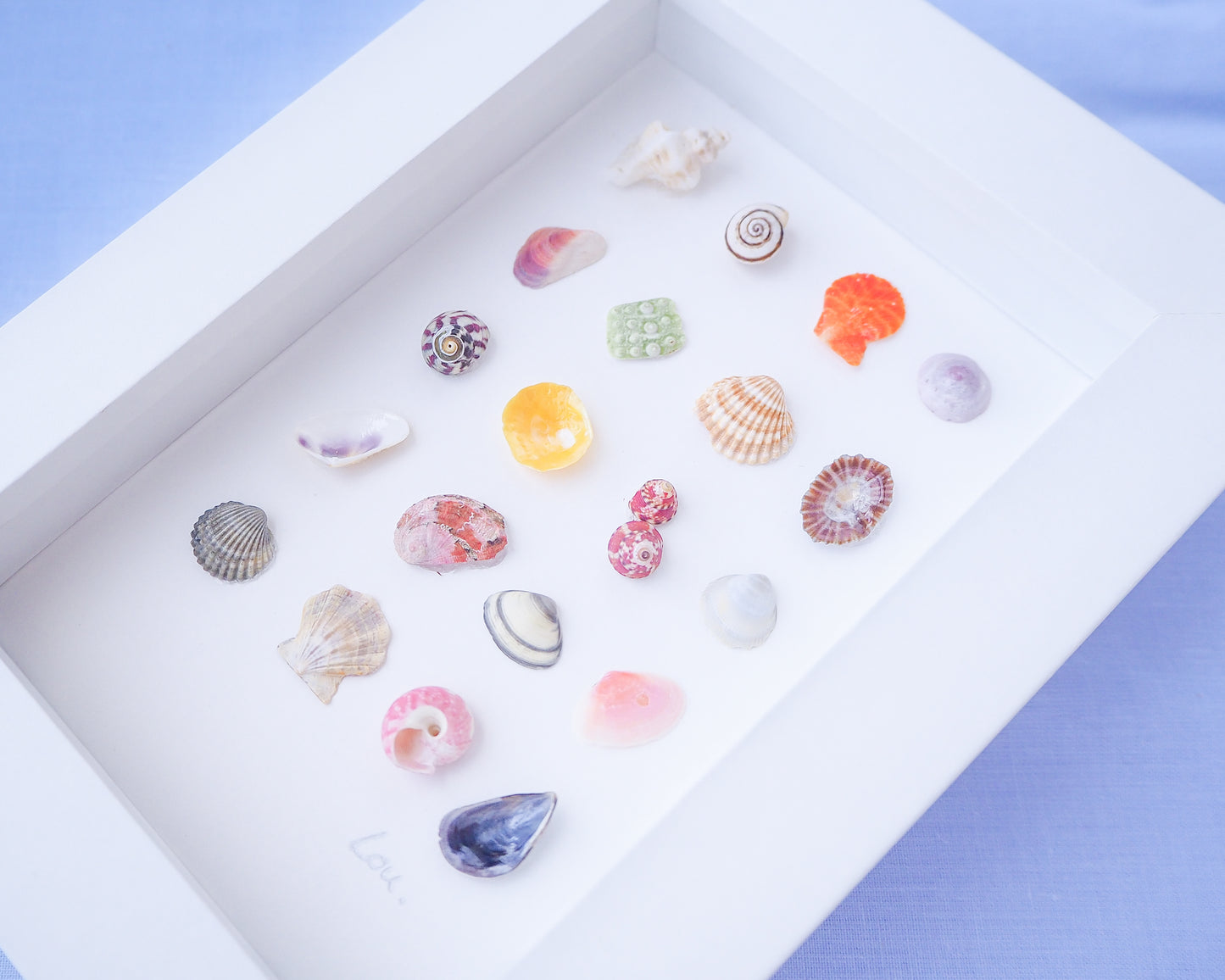 Close up of Seashell Artwork Mini Mix featuring 20 tiny beach treasures and shells handpicked from Portugal set in a white glass frame box. Coastal Beach Art for bookshelf and nightstand. seabylou, SEA by LOU