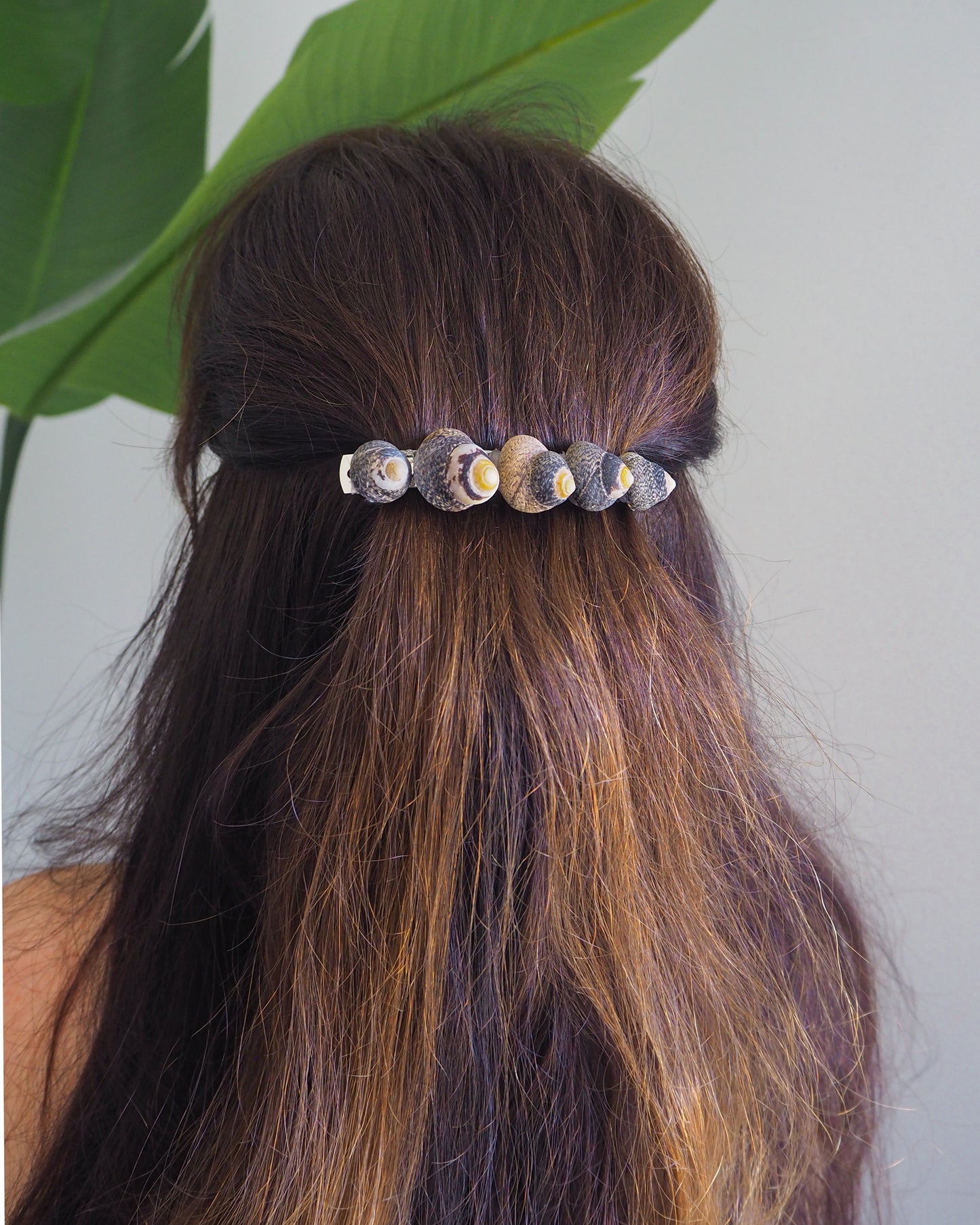 Lined Top Shells Hair Clip Barrette in hair model with green plant background, Seashell Beach Clip from Portugal, Handpicked Real Shells, Seashell Hair Decoration, Mermaid Wedding Hair Assocciares, Coastal Christmas gift, Beach Wedding Hair