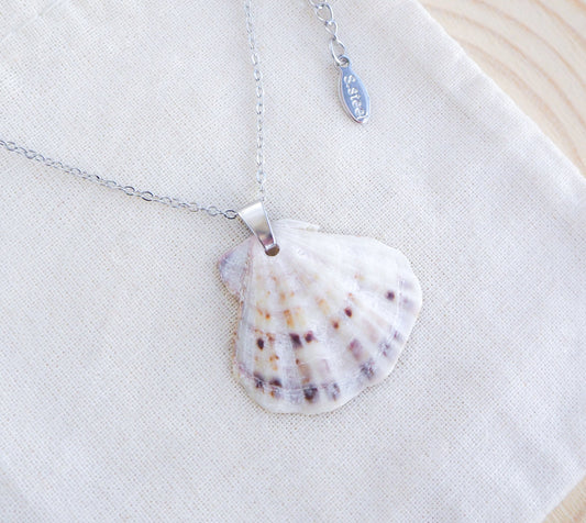 Silver Scallop Shell Necklace with White Grey Scallop Shell on display