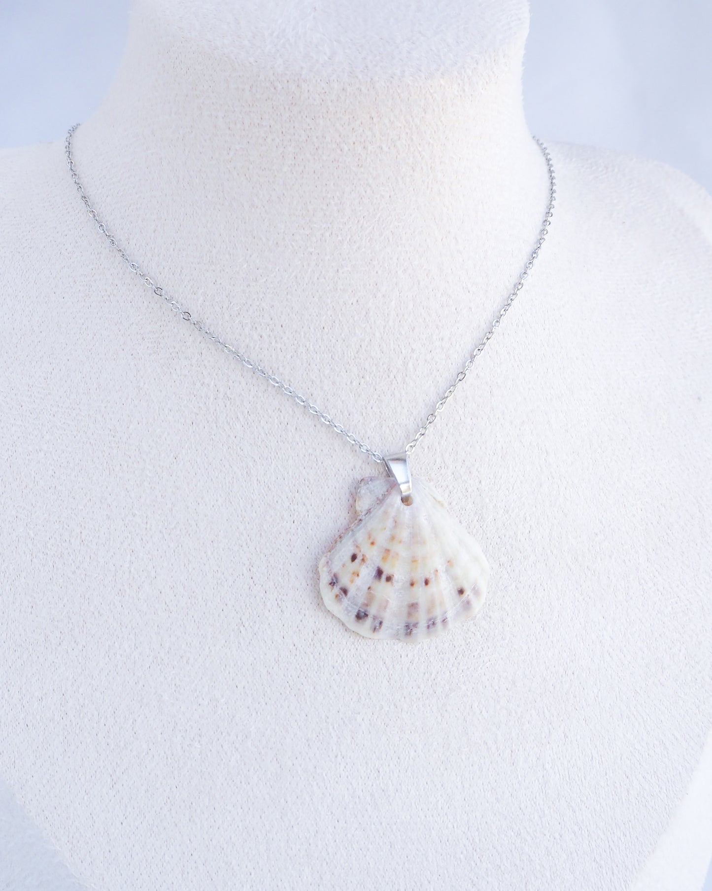 White Grey Scallop Shell Silver Necklace