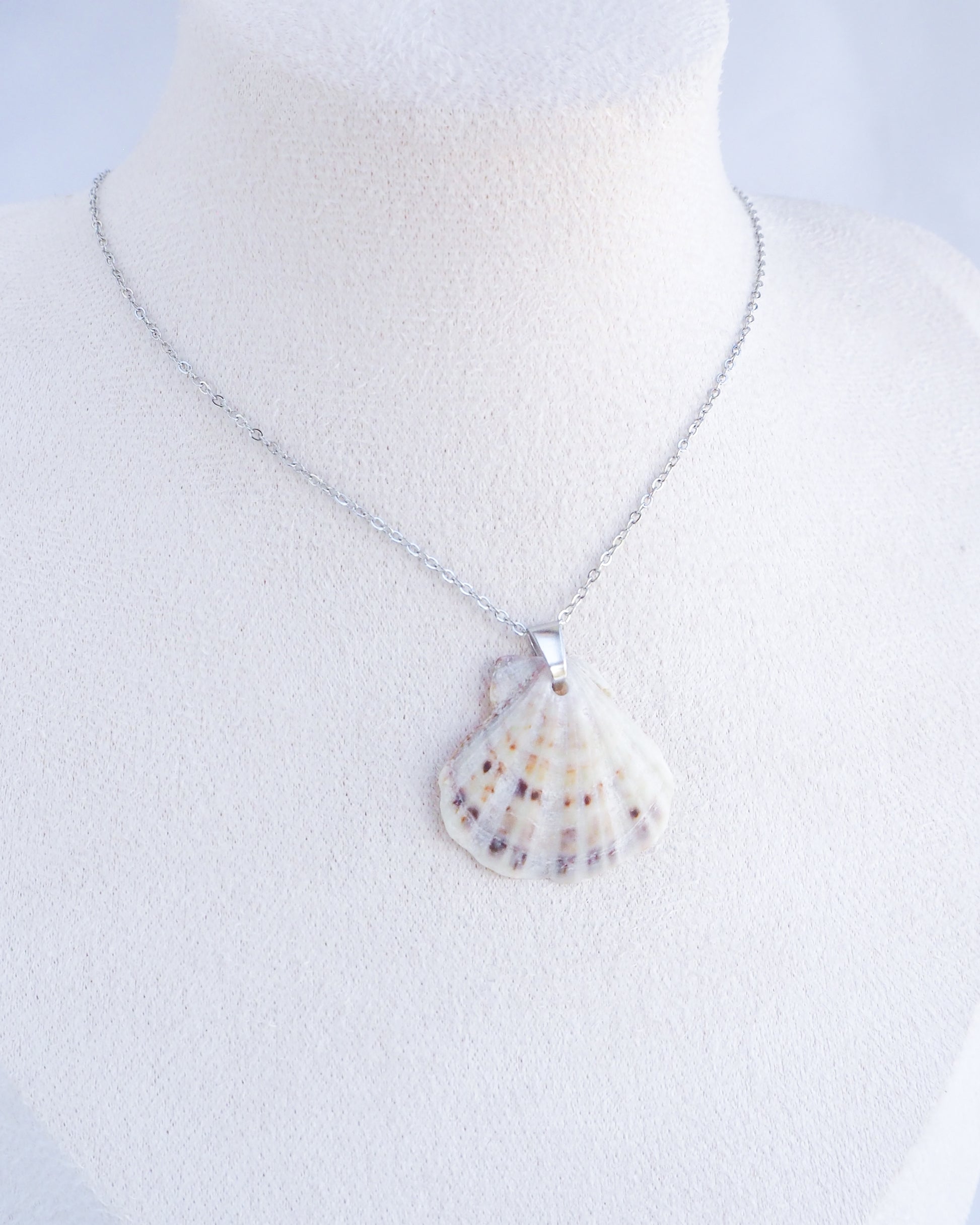 White Grey Scallop Shell Silver Necklace