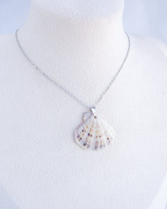 White Grey Scallop Shell Silver Necklace