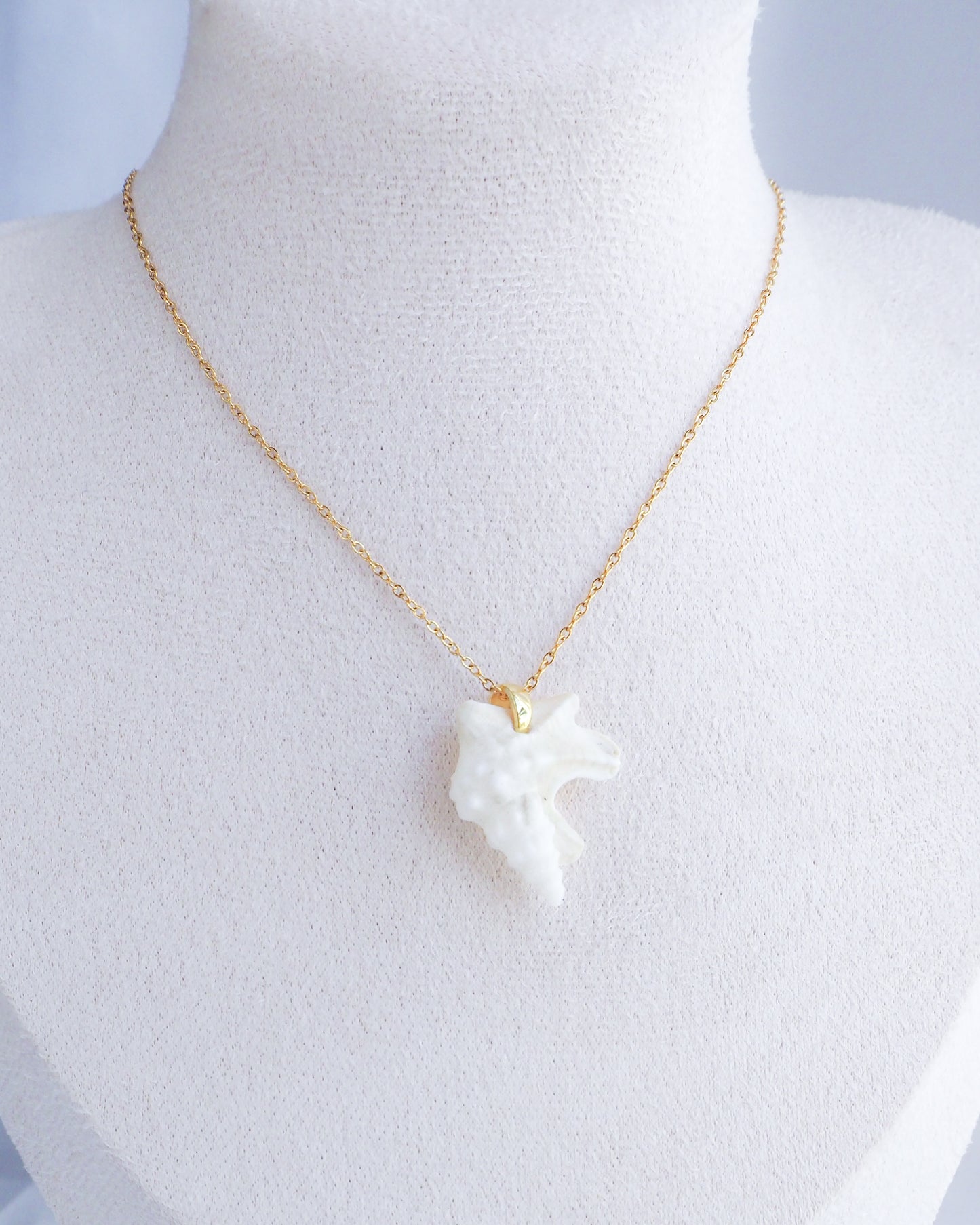Gold Pelican Foot Shell Necklace, Real White Shell from Algarve, Portugal, Stainless Steel chain
