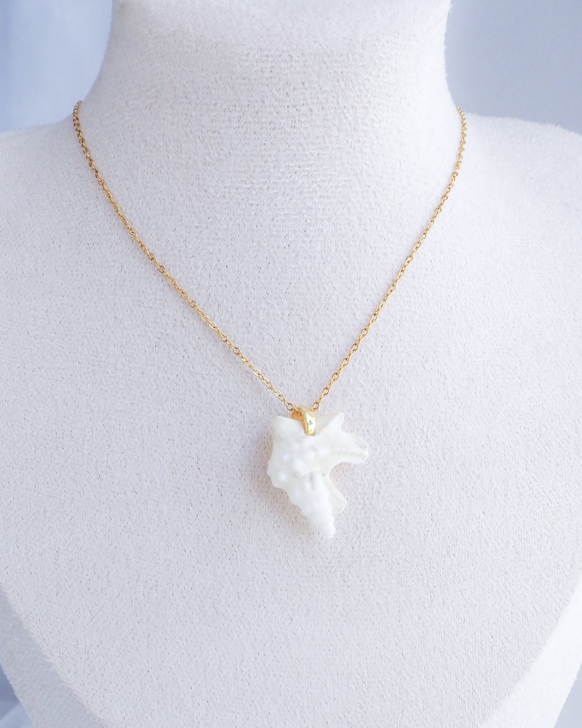 Gold Pelican Foot Shell Necklace, Real White Shell from Algarve, Portugal, Stainless Steel chain