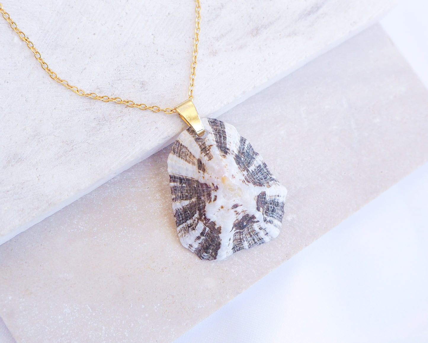 Zebra Limpet Shell Necklace on stone displayed with gold chain necklace