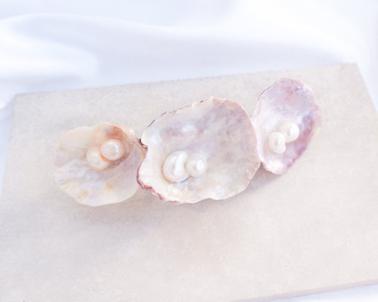 Pearl oyster with pearls on a white background. Jingle Shell Pearl Hair clip. pearly shell Hair Clip Barrette on stone displayed, Boho Seashell Beach Clip from Portugal, Handpicked Real Shells, Seashell Hair Decoration, Bohemian Seashell Wedding Hair Assocciares, Coastal Christmas gift, Beach Wedding Hair