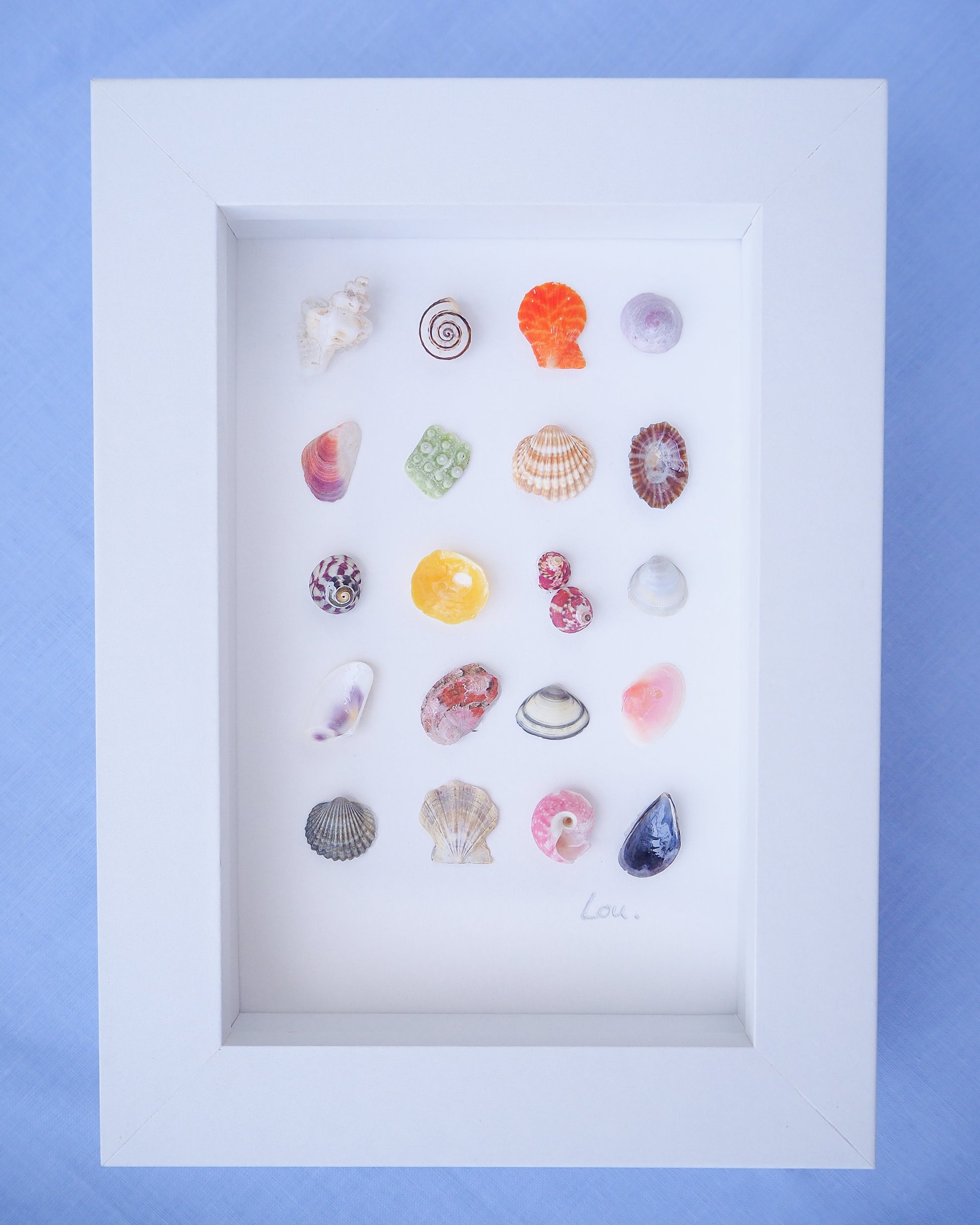 Front view of Seashell Artwork Mini Mix featuring 20 tiny beach treasures and shells handpicked from Portugal set in a white glass frame box. Coastal Beach Art for bookshelf and nightstand. seabylou, SEA by LOU
