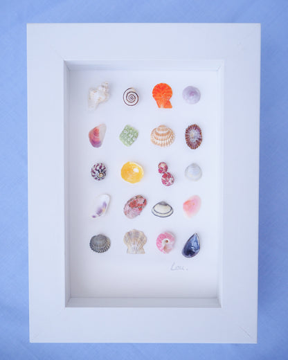 Front view of Seashell Artwork Mini Mix featuring 20 tiny beach treasures and shells handpicked from Portugal set in a white glass frame box. Coastal Beach Art for bookshelf and nightstand. seabylou, SEA by LOU

