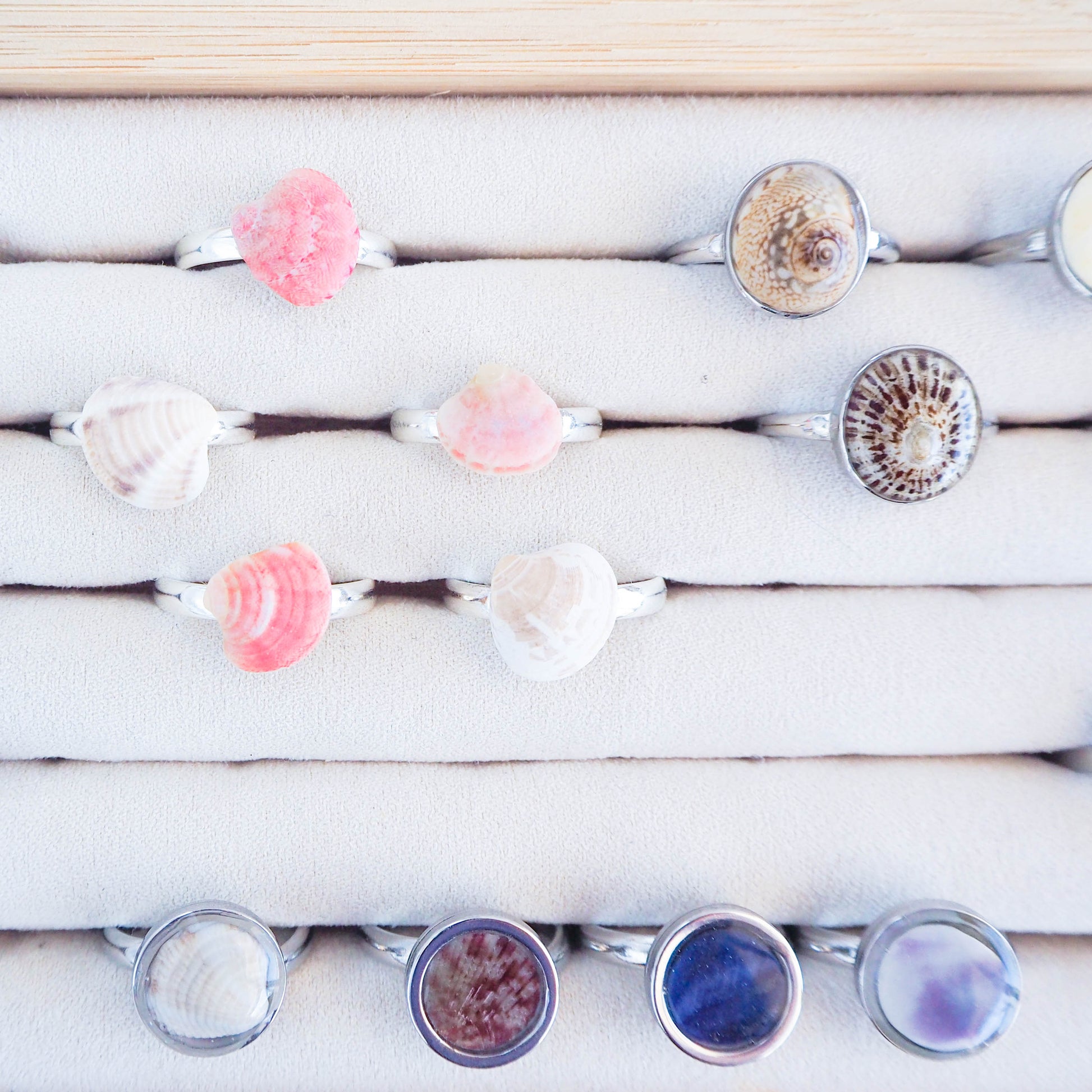 Shell Rings from Portugal, Real Shell Jewelry, Coastal Jewellery, Beach Girl style