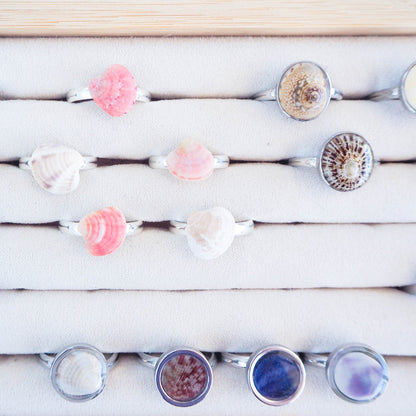 Shell Rings from Portugal, Real Shell Jewelry, Coastal Jewellery, Beach Girl style