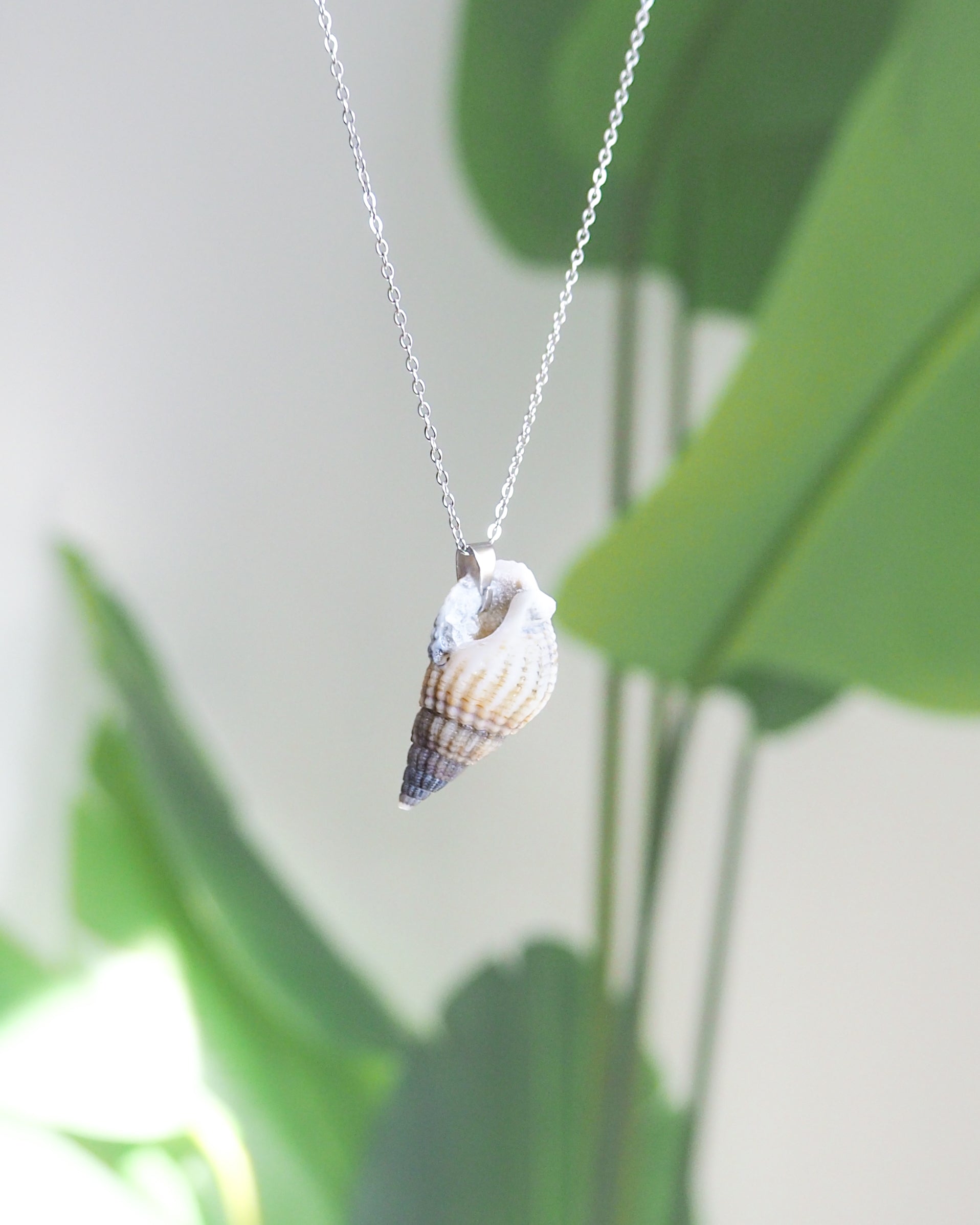 Back side of Dark Netted Dog Whelk Shell Silver Necklace with green plant background, Silver stainless steel chain, Netted Dogwhelk Shell handpicked from Portugal