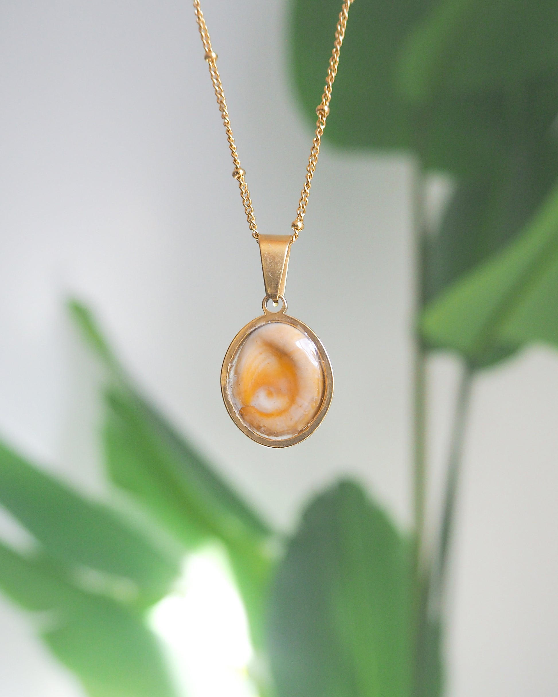 Back of White Eye of Saint Lucia Gold Necklace with green plant background, 18k gold stainless steel shiva eye pendant necklace, Saint Lucy Eye, operculum pendant