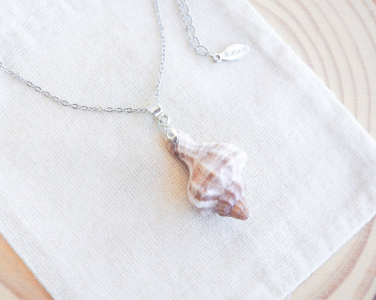 Banded Dye Murex Shell Silver Necklace on display, Seabylou, Shell from Portugal
