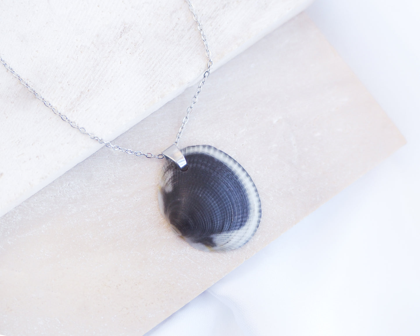 Black White Shell Necklace on display, Real Dark Bittersweet Clam Shell from Algarve, Portugal, Silver Stainless Steel chain