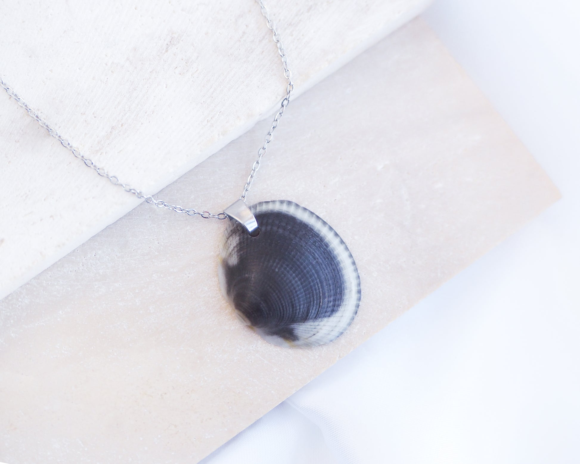 Black White Shell Necklace on display, Real Dark Bittersweet Clam Shell from Algarve, Portugal, Silver Stainless Steel chain