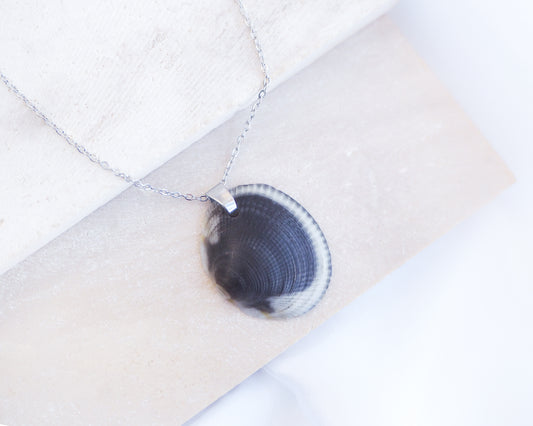 Black White Shell Necklace on display, Real Dark Bittersweet Clam Shell from Algarve, Portugal, Silver Stainless Steel chain