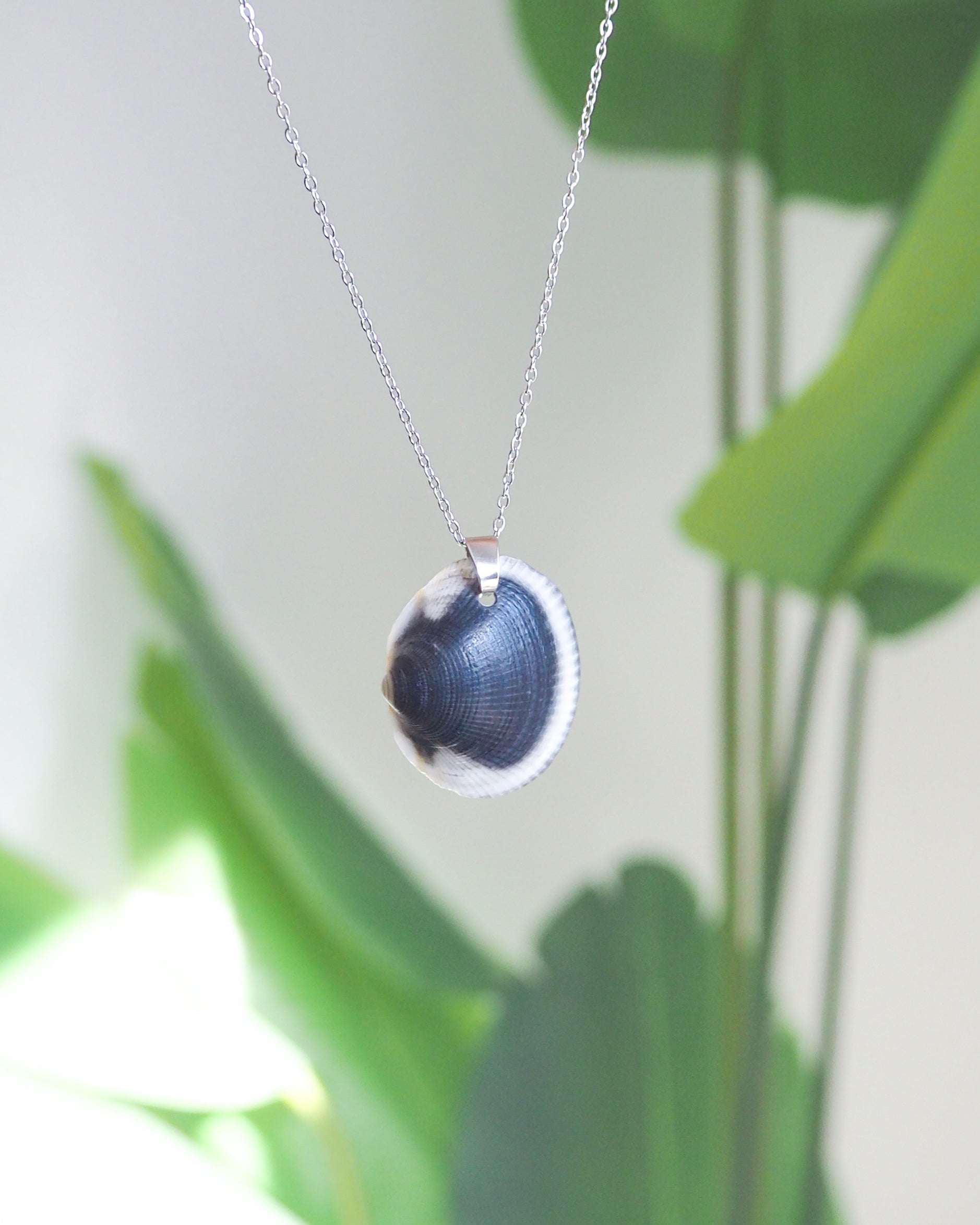 Black White Shell Necklace with green plant background, Real Dark Bittersweet Clam Shell from Algarve, Portugal, Silver Stainless Steel chain