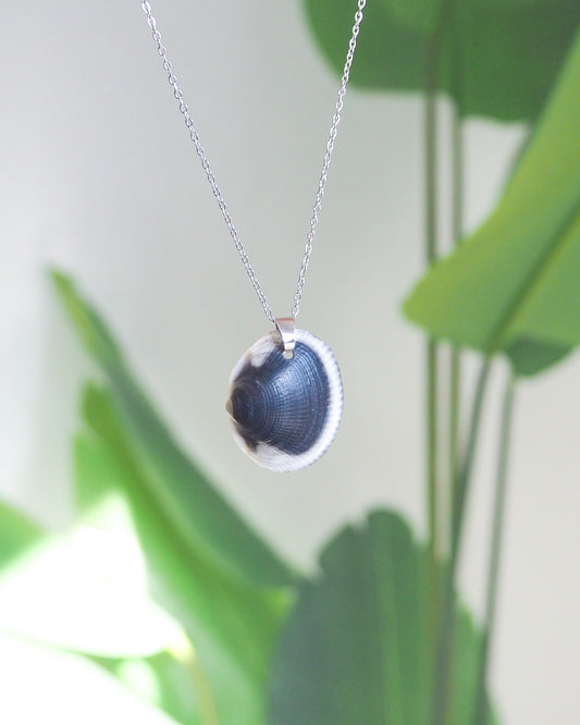 Black White Shell Necklace with green plant background, Real Dark Bittersweet Clam Shell from Algarve, Portugal, Silver Stainless Steel chain