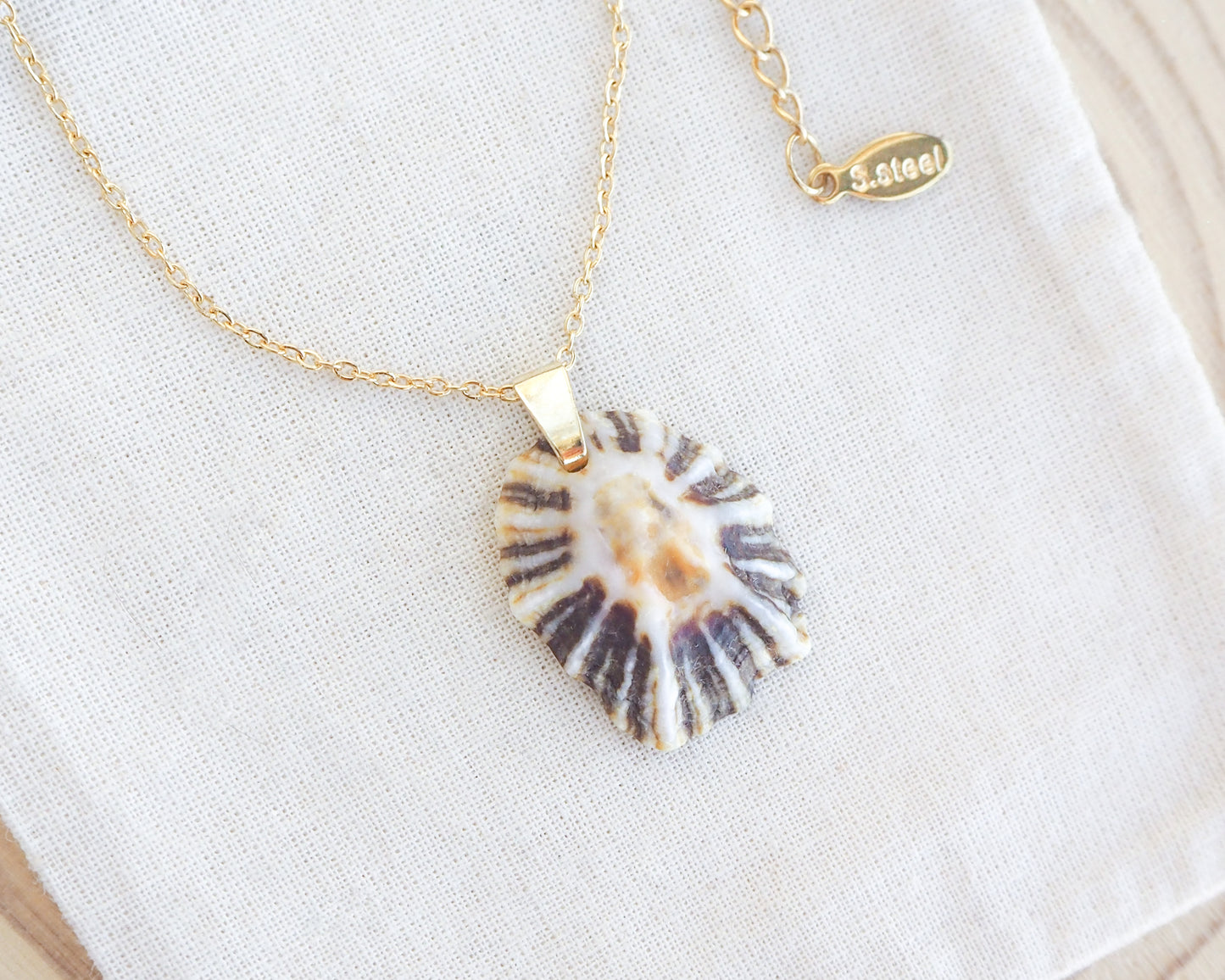 Black White Zebra Limpet Shell Gold Necklace on display