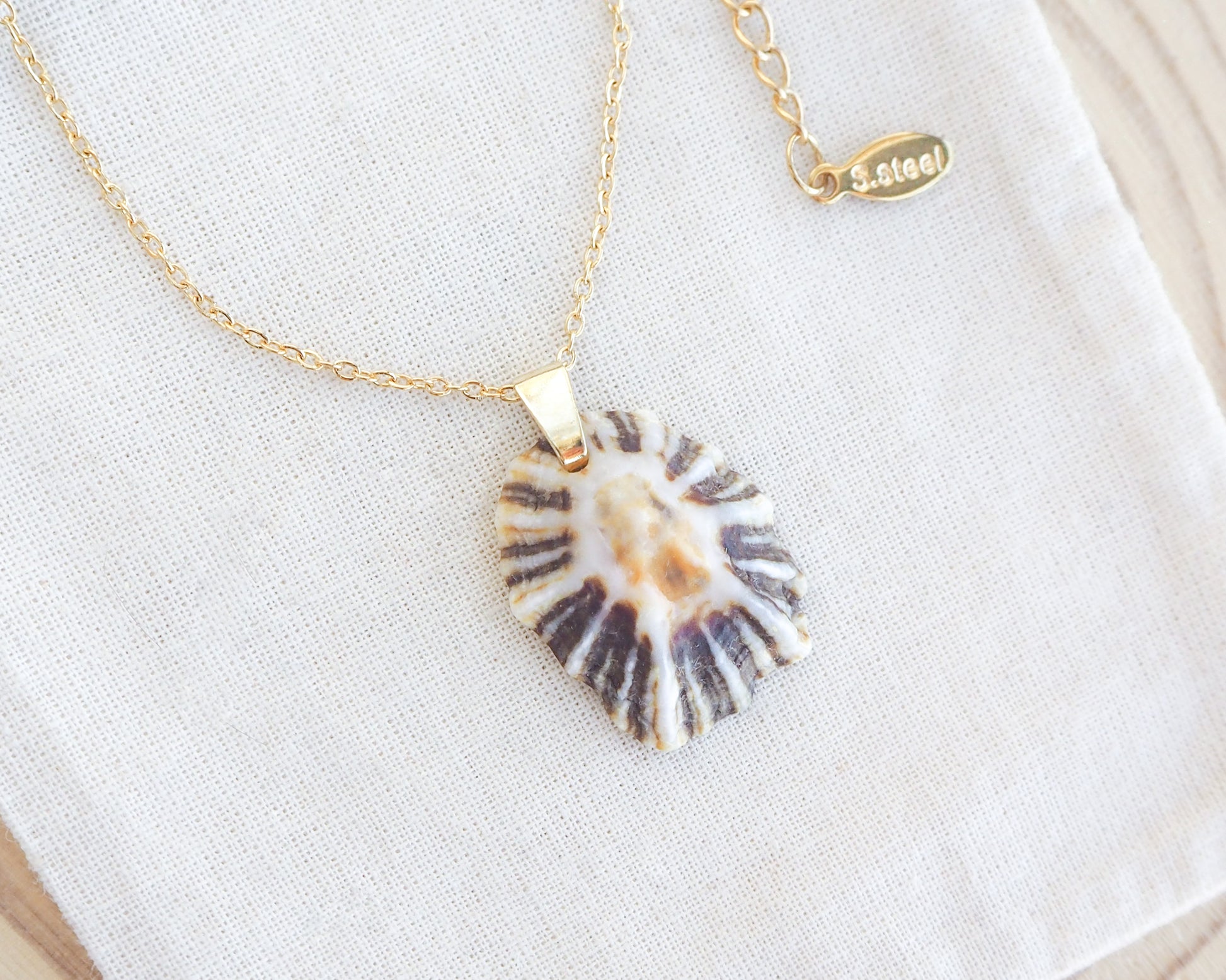 Black White Zebra Limpet Shell Gold Necklace on display