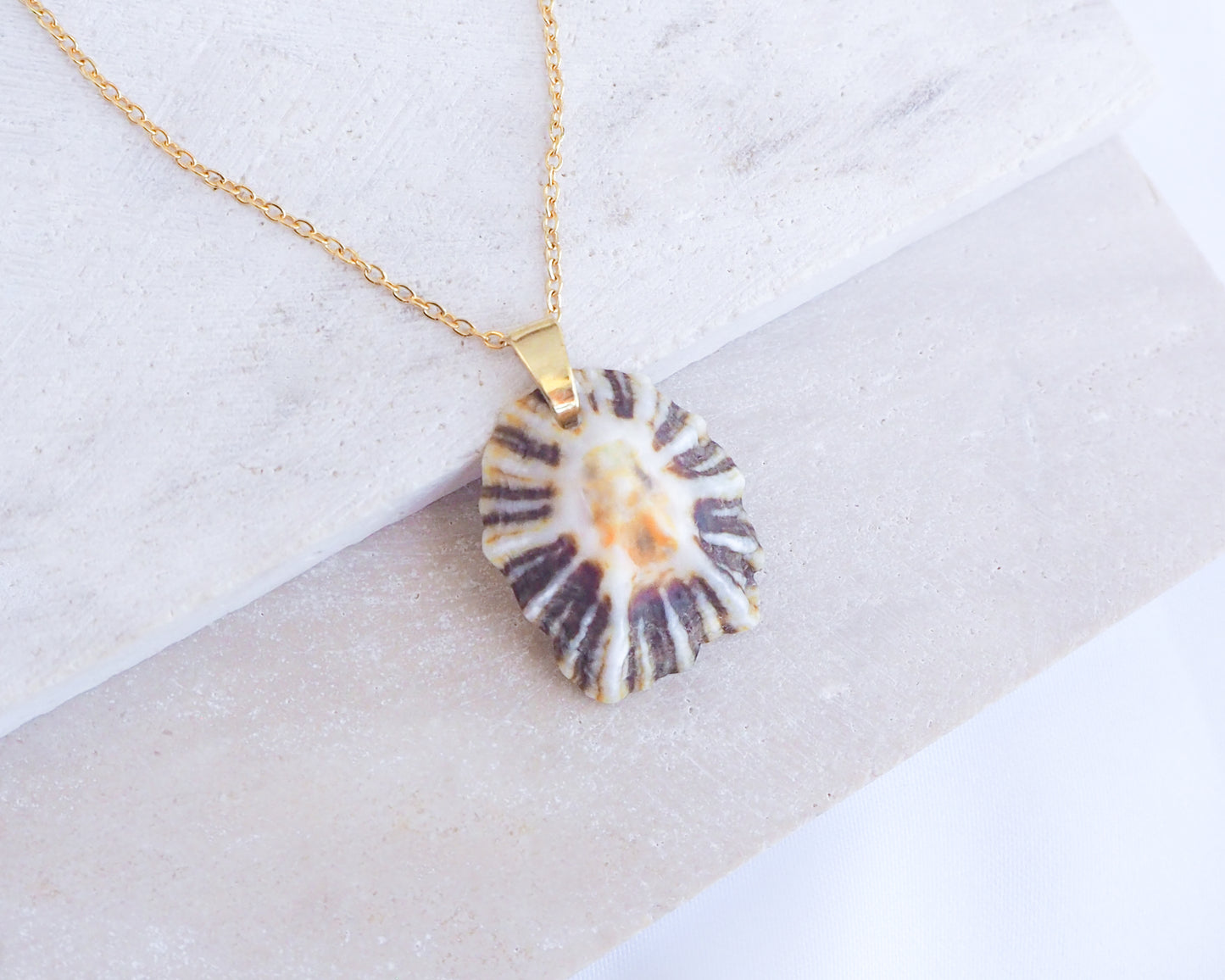 Black White Zebra Limpet Shell Gold Necklace displayed on stone 