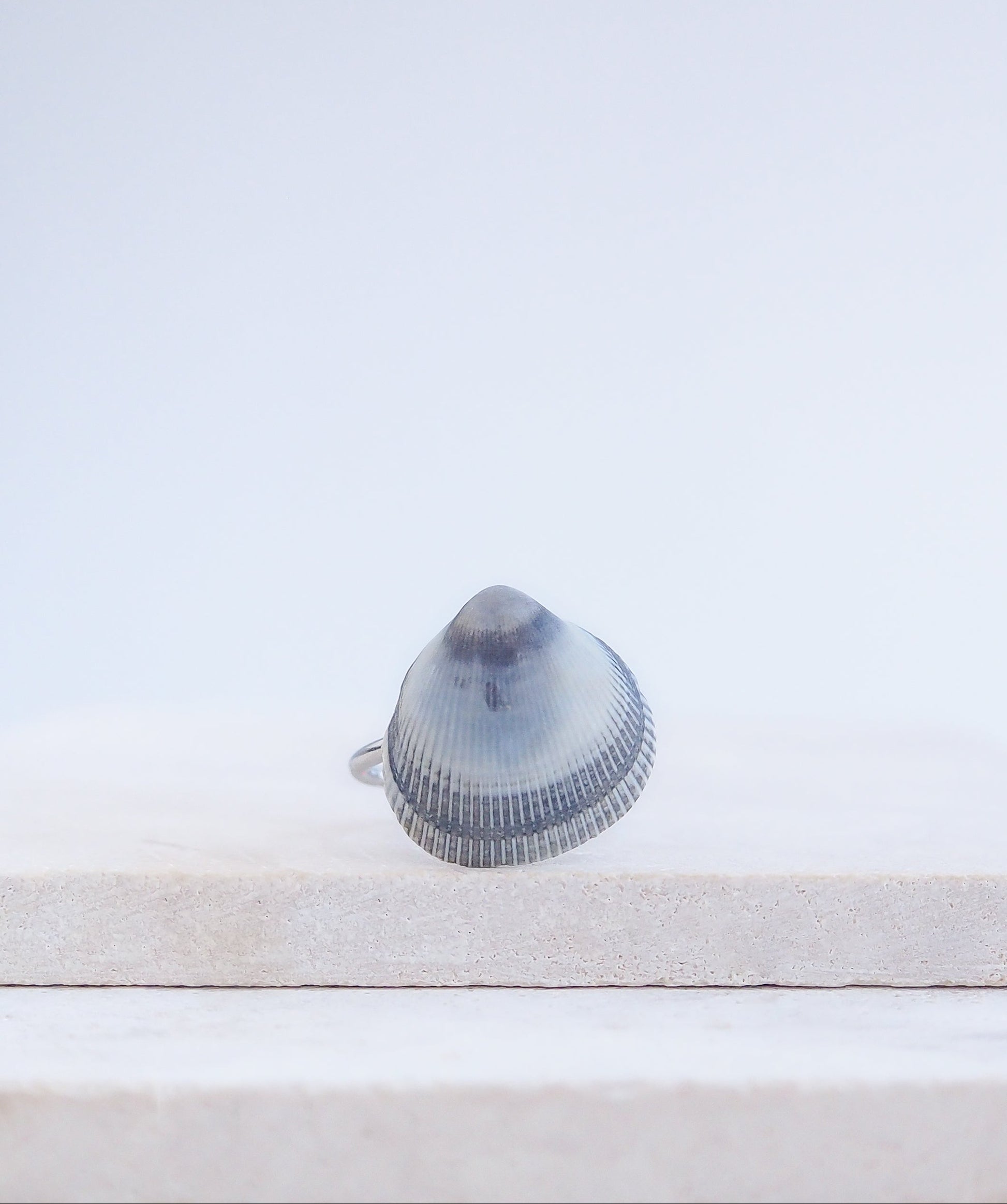 Blue Cockle Shell Silver Ring on stone displayed, Adjustable stainless steel ring with a handpicked Norwegian Egg Cockle Shell from Portugal, Tiny Blue Grey Seashell Ring, Beach Girl Jewelry