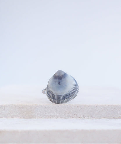 Blue Cockle Shell Silver Ring on stone displayed, Adjustable stainless steel ring with a handpicked Norwegian Egg Cockle Shell from Portugal, Tiny Blue Grey Seashell Ring, Beach Girl Jewelry
