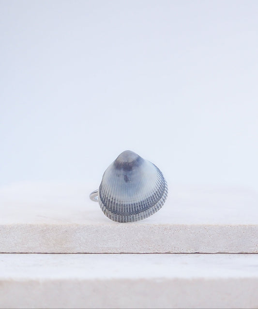 Blue Cockle Shell Silver Ring on stone displayed, Adjustable stainless steel ring with a handpicked Norwegian Egg Cockle Shell from Portugal, Tiny Blue Grey Seashell Ring, Beach Girl Jewelry