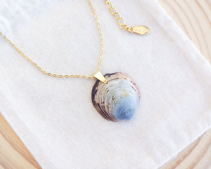 Blue Ungulina Rubra Shell Necklace with gold chain on display, handpicked blue mussel shell from Portugal, blue cockle shell 