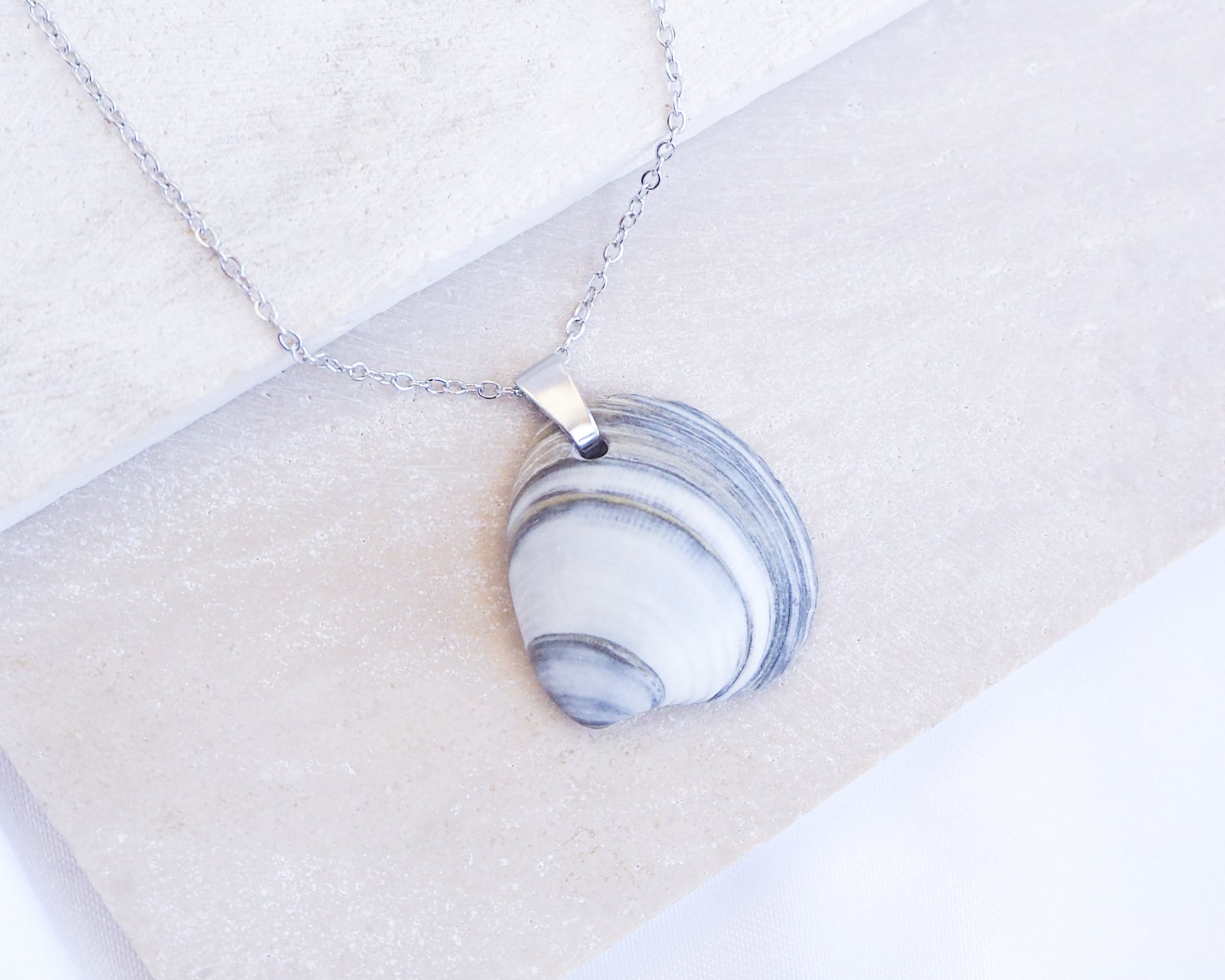 Blue White Striped Venus Shell Silver Necklace from Portugal on display
