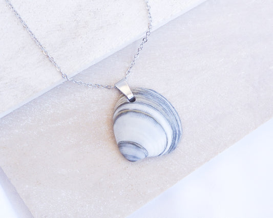Blue White Striped Venus Shell Silver Necklace from Portugal on display